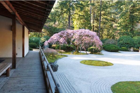 异域特点的波特兰日本花园08